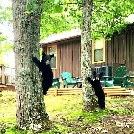 10 Miles Away From The Heart Of It All! Pigeon Forge Luaran gambar