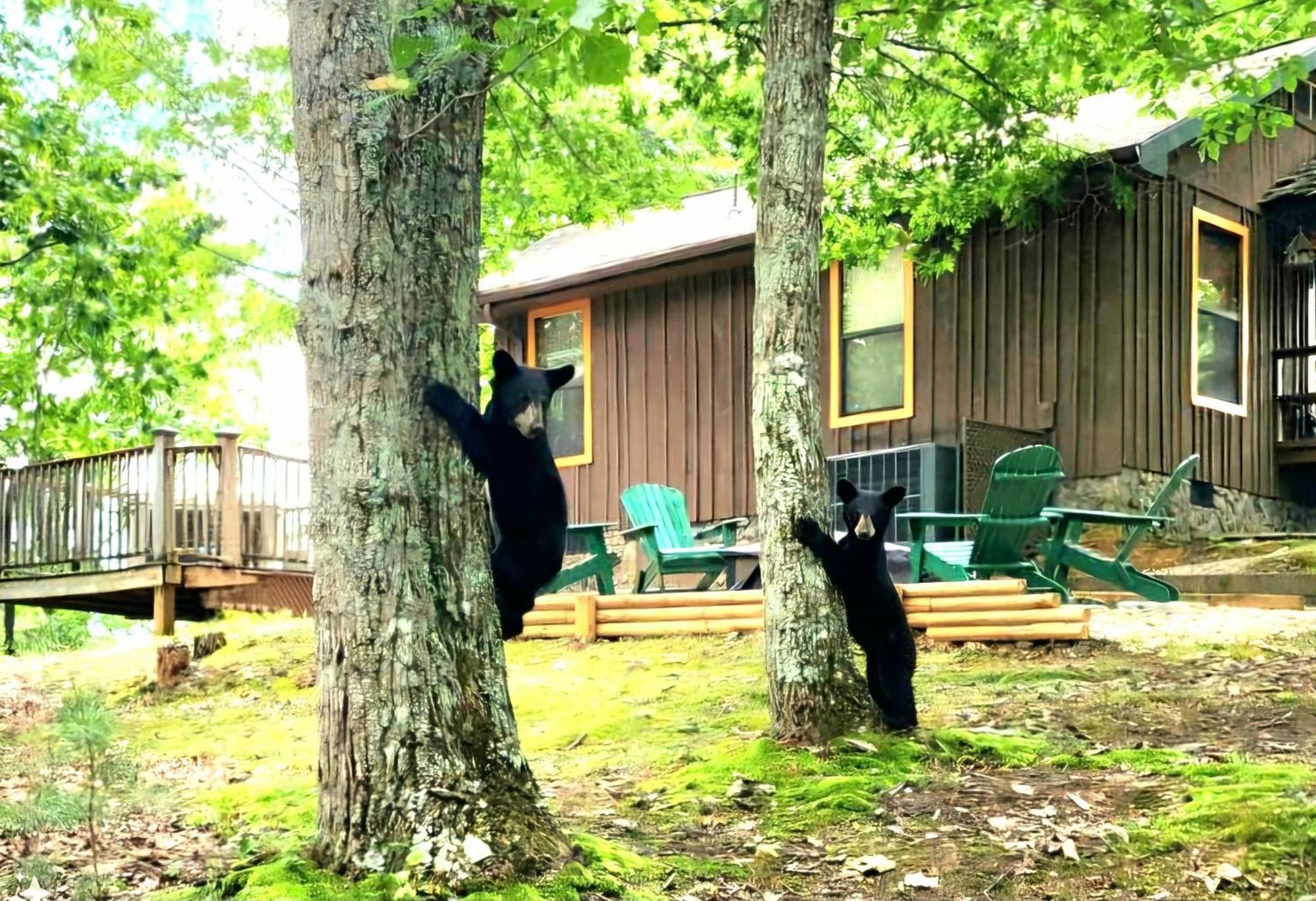 10 Miles Away From The Heart Of It All! Pigeon Forge Luaran gambar